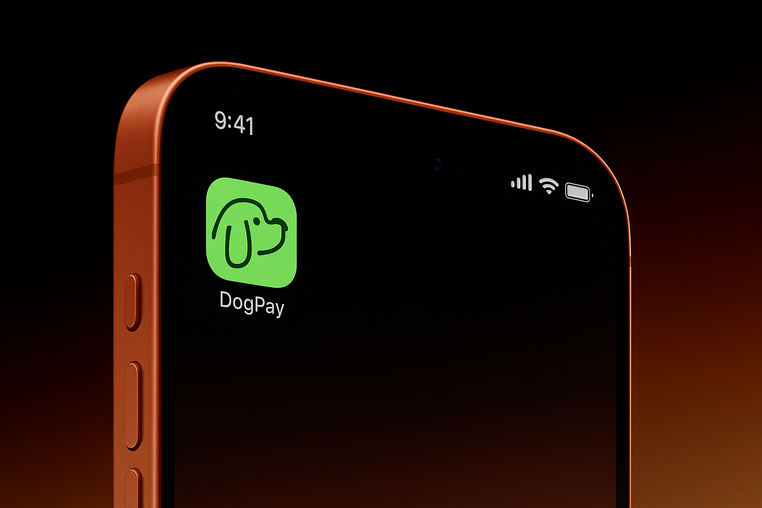 Currency Exchange in Dallas — A Practical Guide with dogpay