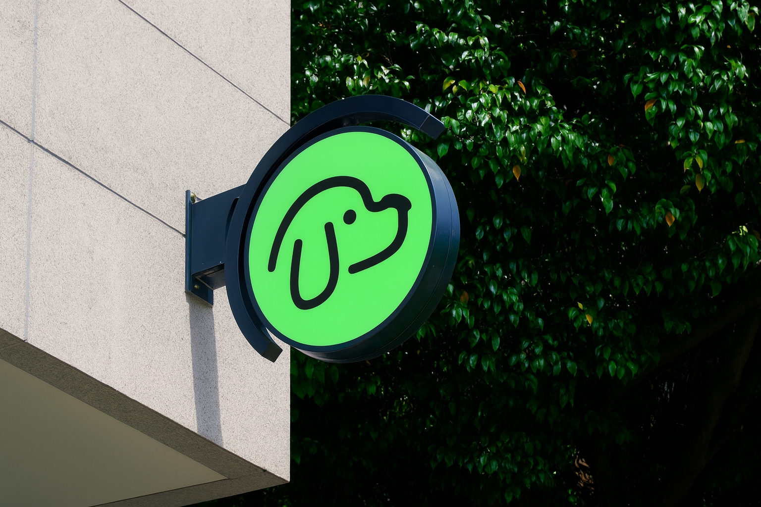 Currency Exchange in Atlanta — A Smarter Travel Money Guide with dogpay