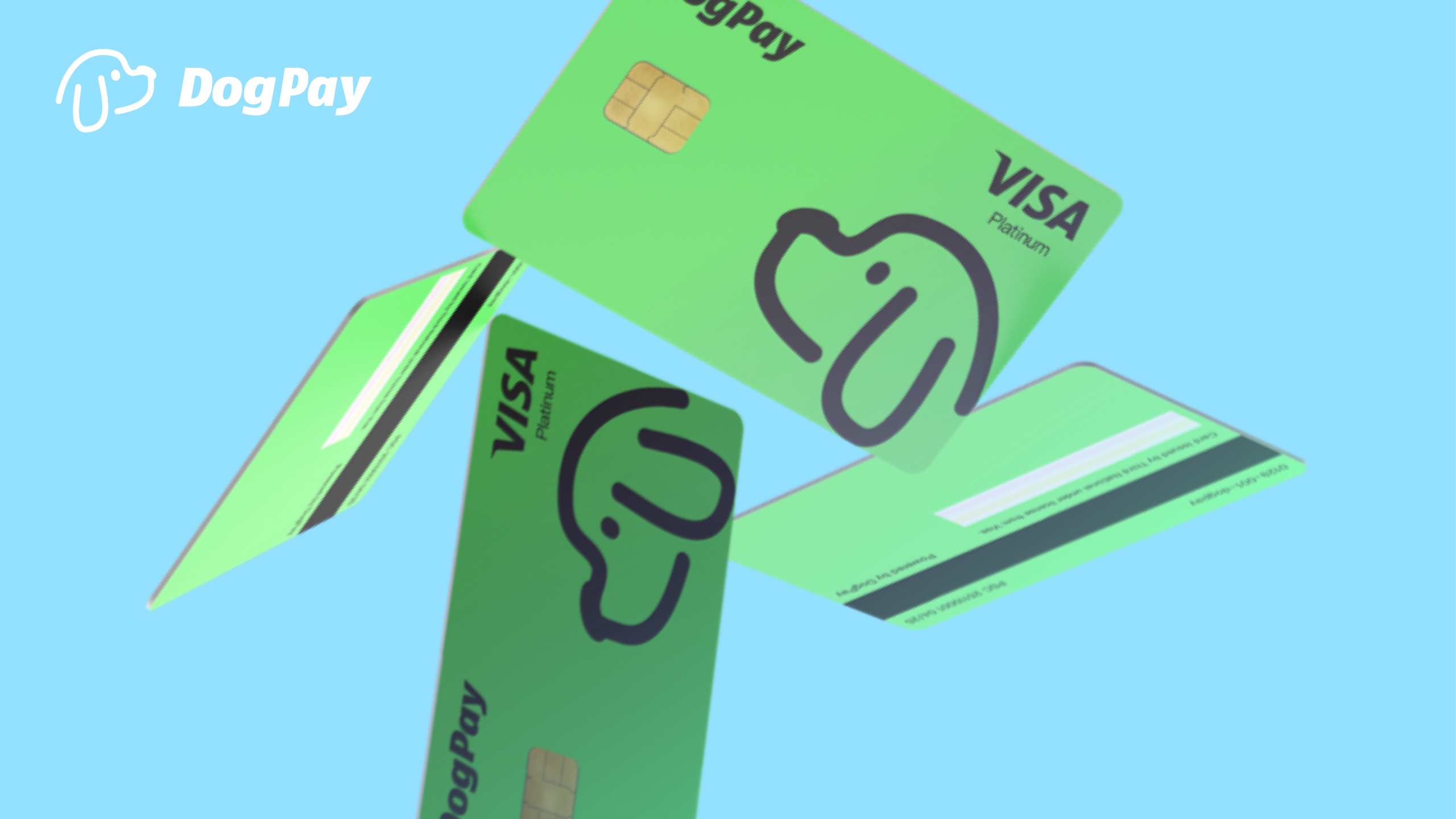 From Tedious Reconciliation to Autopilot: How DogPay API Re-engineers the Financial Foundation for Global Enterprises